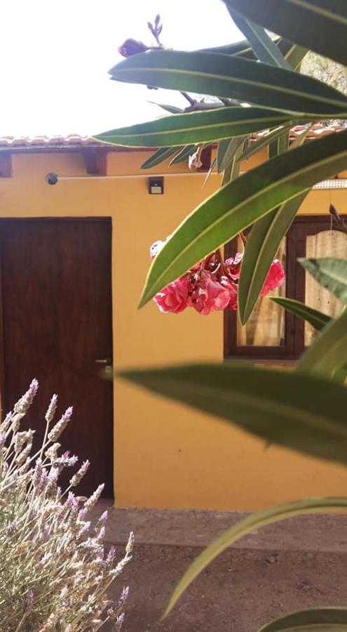 فندق Mamaku Huasi كفايات المظهر الخارجي الصورة